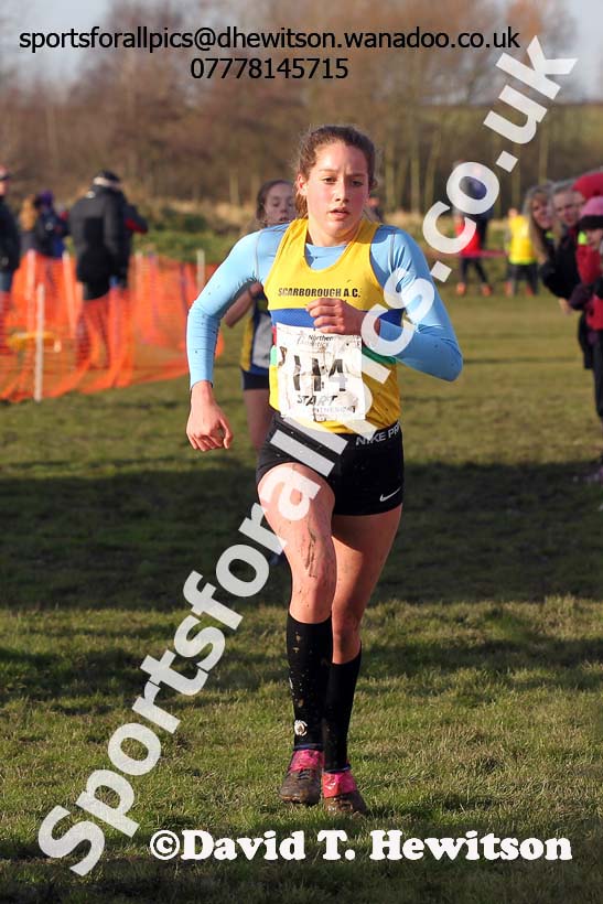 Under-17 womens Northern Cross Country  Championships, Pontefract. Photo: David T. Hewitson/Sports for All Pics